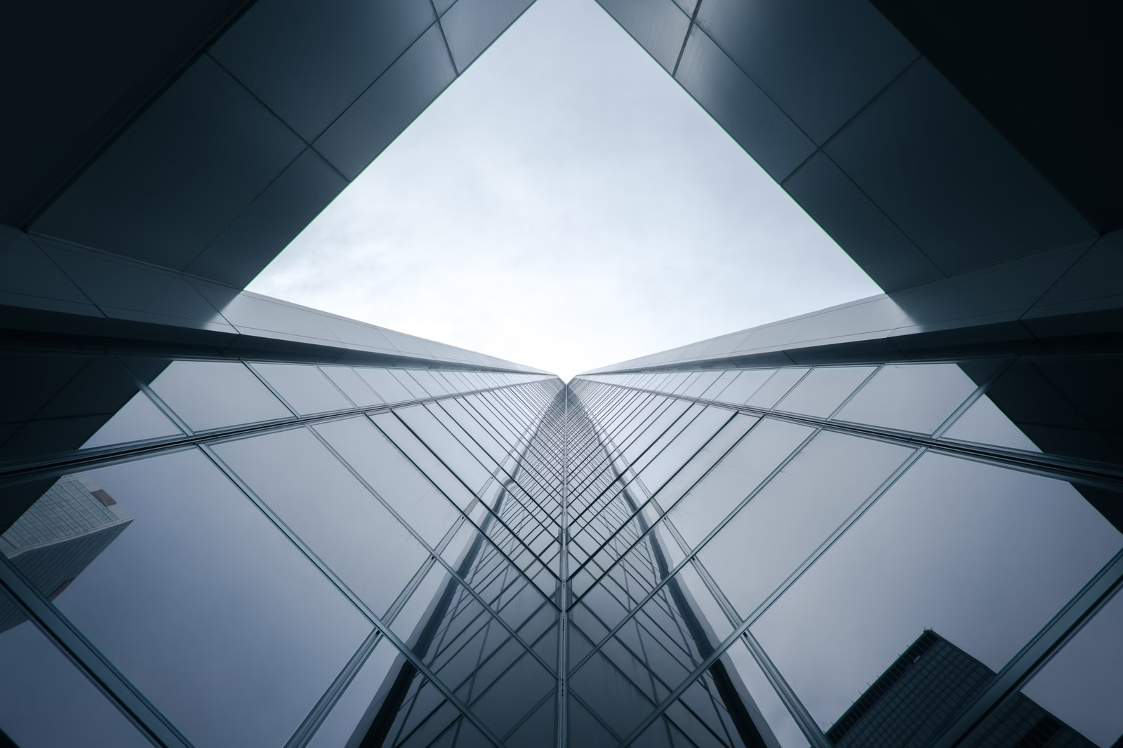 Proyectos Image Gallery 4